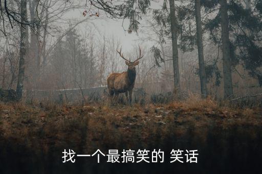 找一個(gè)最搞笑的 笑話