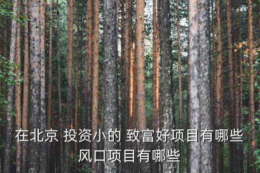 在北京 投資小的 致富好項目有哪些風口項目有哪些