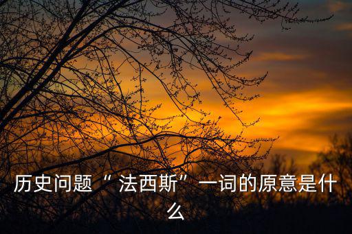 法西斯是什么意思,西班牙法西斯這個(gè)詞來(lái)自拉丁語(yǔ)