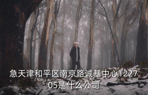 急天津和平區南京路誠基中心122705是什么公司