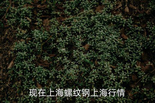 上海螺紋鋼現(xiàn)貨價格，現(xiàn)在上海螺紋鋼上海行情