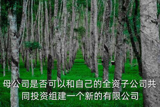 母公司是否可以和自己的全資子公司共同投資組建一個新的有限公司
