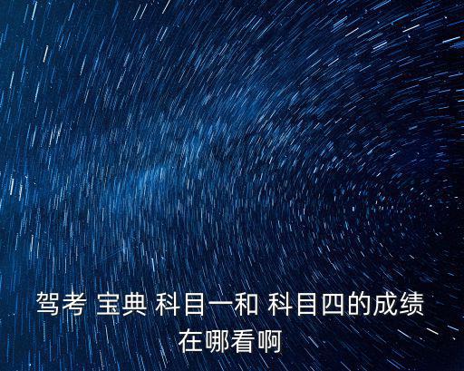 駕考 寶典 科目一和 科目四的成績在哪看啊