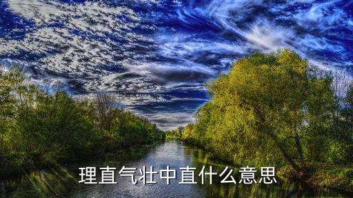 理直氣壯的直是什么意思