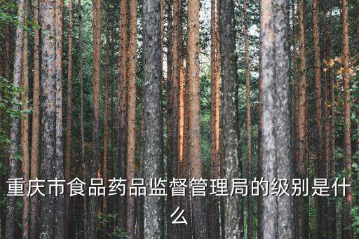 重慶市食品藥品監督管理局的級別是什么