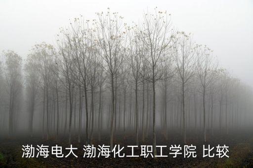 渤海電大 渤海化工職工學(xué)院 比較