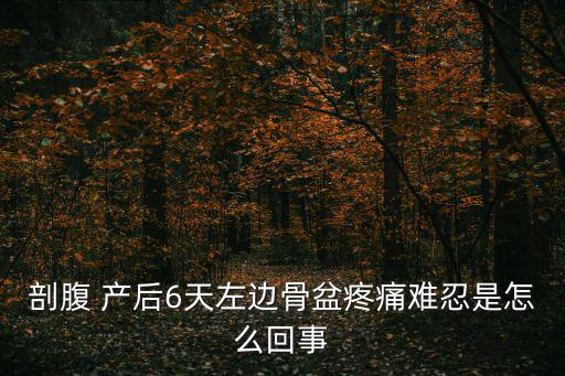 剖腹 產(chǎn)后6天左邊骨盆疼痛難忍是怎么回事