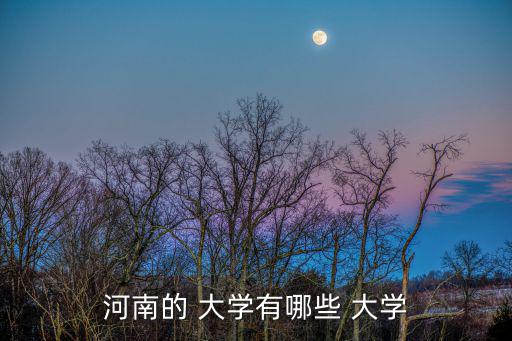 河南的 大學(xué)有哪些 大學(xué)