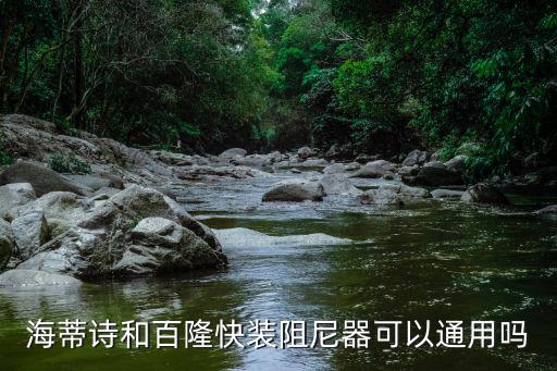 快使用阻尼器，海蒂詩和百隆快裝阻尼器可以通用嗎