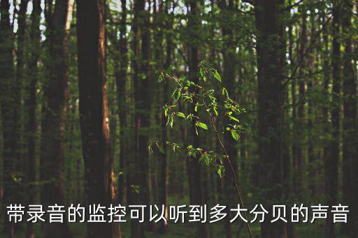 帶錄音的監控可以聽到多大分貝的聲音
