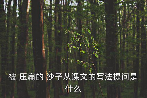 被 壓扁的 沙子從課文的寫法提問是什么
