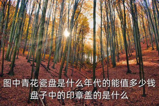 圖中青花瓷盤是什么年代的能值多少錢盤子中的印章蓋的是什么