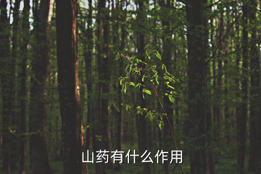  山藥有什么作用