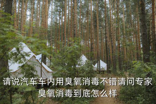 車輛消毒設(shè)備，車愛美汽車數(shù)控消毒養(yǎng)護(hù)一體機(jī)誰知道這個項目