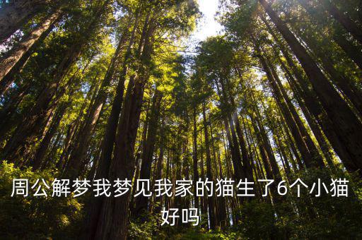 夢見貓生小貓，周公解夢我夢見我家的貓生了6個小貓好嗎