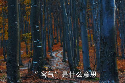 “ 客氣”是什么意思
