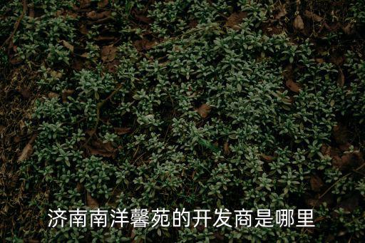 成都市南洋馨苑，濟南南洋馨苑的開發商是哪里