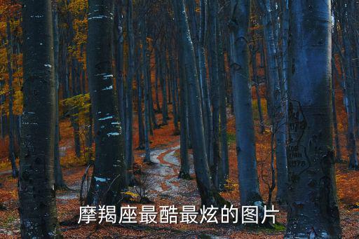 摩羯座最酷最炫的圖片