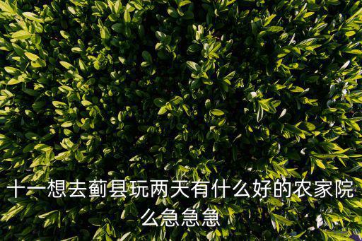 十一想去薊縣玩兩天有什么好的農(nóng)家院么急急急