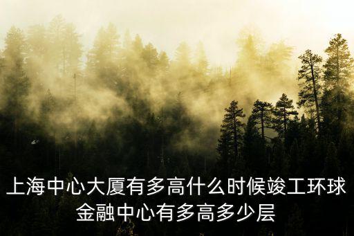 上海中心大廈有多高什么時候竣工環球金融中心有多高多少層