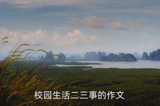 校園生活二三事的作文