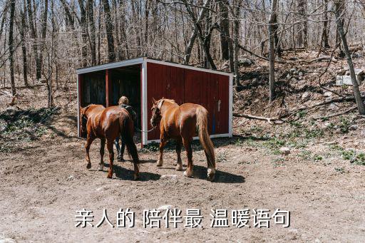 最溫暖的陪伴,溫暖是亮燈照亮前行路人