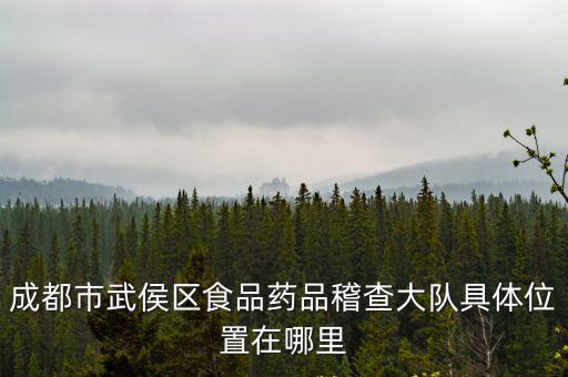李萍成都市藥監局，鄧州市食品藥品監督管理局屬于哪個街道