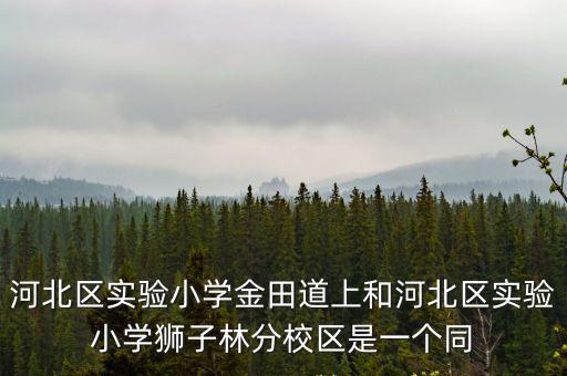 河北區實驗小學金田道上和河北區實驗小學獅子林分校區是一個同