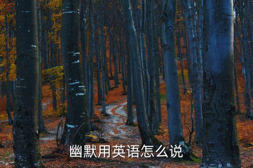 幽默的英語(yǔ)，幽默的 用英文怎么寫
