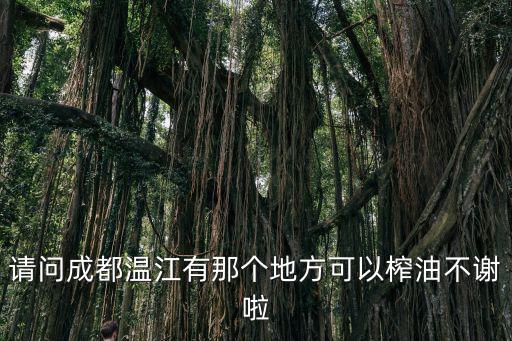 成都市溫江區(qū)哪有榨油的，成都市溫江區(qū)豬板油價(jià)格
