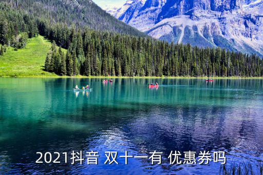 2021抖音 雙十一有 優(yōu)惠券嗎