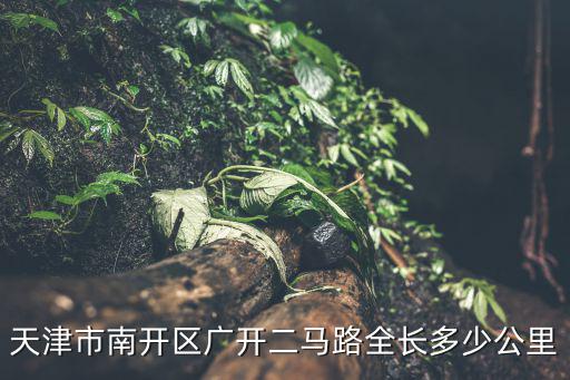 天津市南開區(qū)廣開街，天津市南開區(qū)廣開中街137號屬哪個小學(xué)