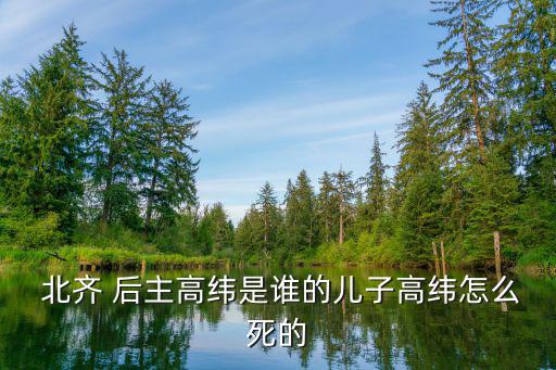  北齊 后主高緯是誰的兒子高緯怎么死的