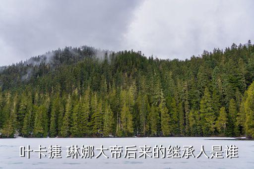  葉卡捷 琳娜大帝后來的繼承人是誰