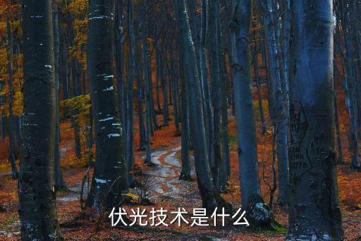 伏光技術(shù)是什么
