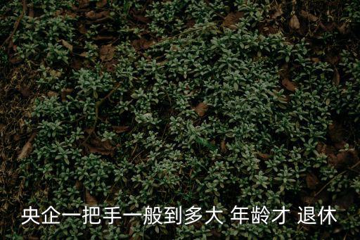 央企一把手一般到多大 年齡才 退休