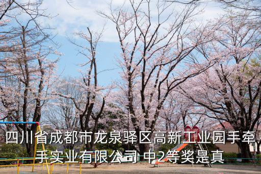 成都市龍泉驛區王彬，四川省成都市龍泉驛區高新工業園手牽手實業有限公司 中2等獎是真