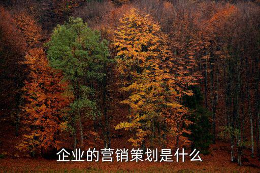 企業的營銷策劃是什么