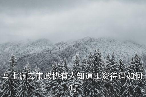 政協工作，政協如何履行其職能