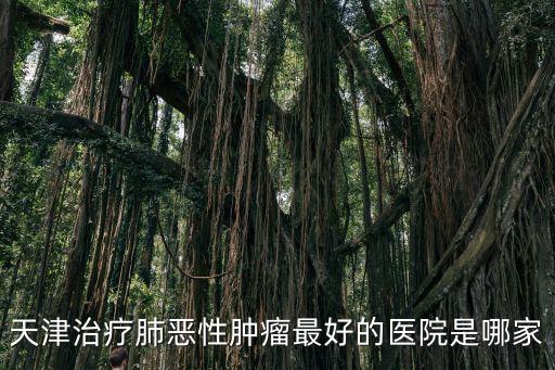 天津治療肺惡性腫瘤最好的醫院是哪家