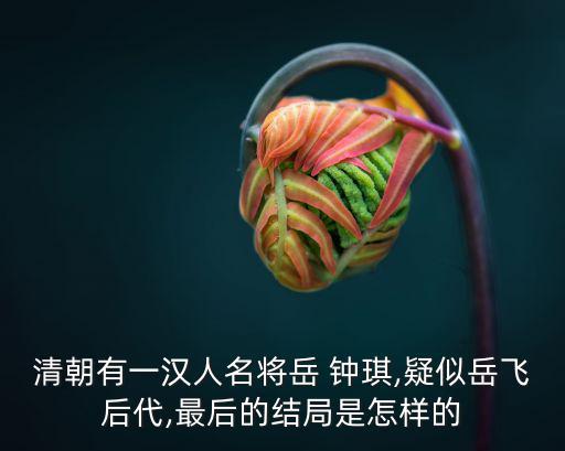清朝有一漢人名將岳 鐘琪,疑似岳飛后代,最后的結(jié)局是怎樣的