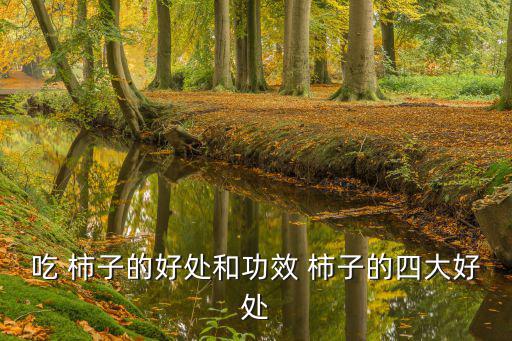 柿子的好處,四大名優(yōu)中藥材包括柿子和柿霜