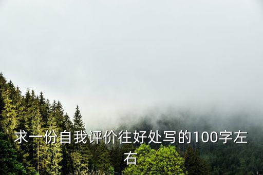 求一份自我評價往好處寫的100字左右