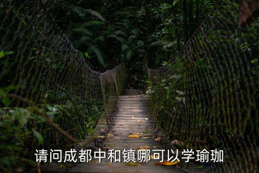 請問成都中和鎮(zhèn)哪可以學瑜珈