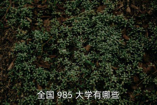全國(guó) 985 大學(xué)有哪些