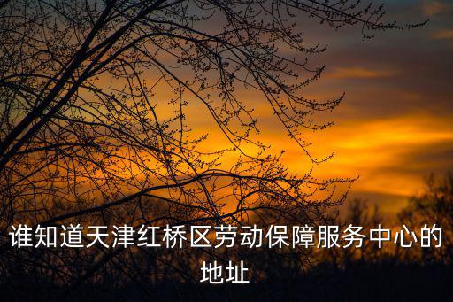 誰知道天津紅橋區勞動保障服務中心的地址