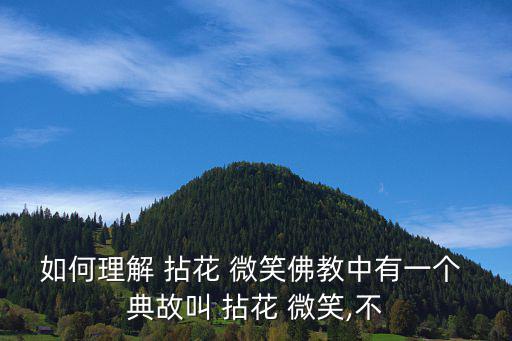 拈花微笑的典故,拈花微笑是禪宗原則