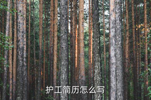 護(hù)工簡(jiǎn)歷怎么寫