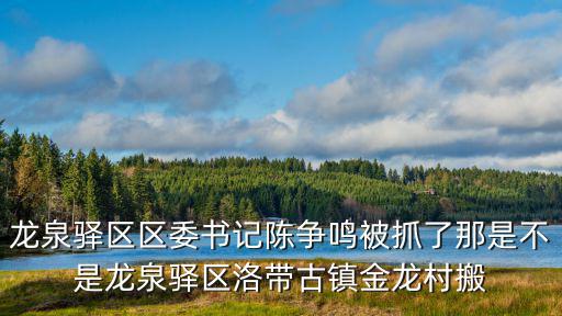 龍泉驛區(qū)區(qū)委書記陳爭(zhēng)鳴被抓了那是不是龍泉驛區(qū)洛帶古鎮(zhèn)金龍村搬