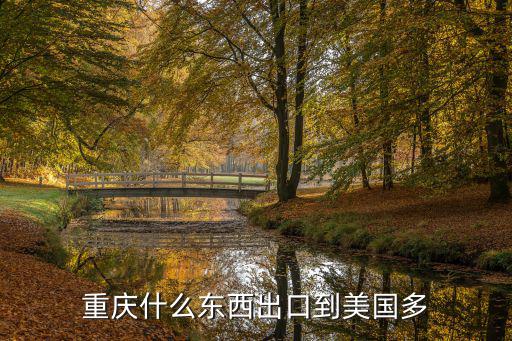 重慶什么東西出口到美國多
